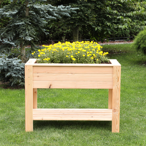 Dan Larch Planter